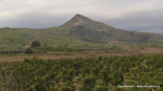 Monte Scalpello